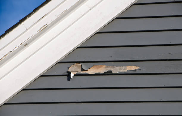  Denmark, WI Siding Installation Pros