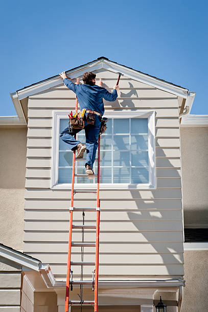 Best Siding Painting and Refinishing  in Denmark, WI